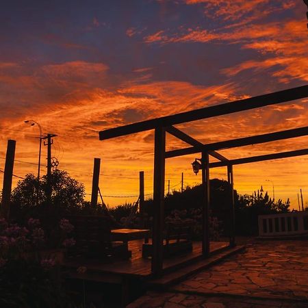 41 Hostel Punta del Este Zewnętrze zdjęcie